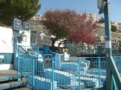 Grave of the ARI Safed Israel