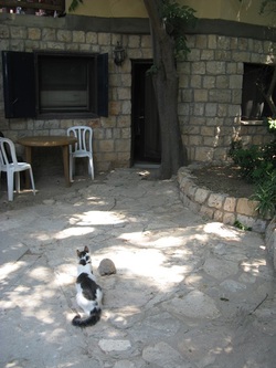 Safed guesthouse